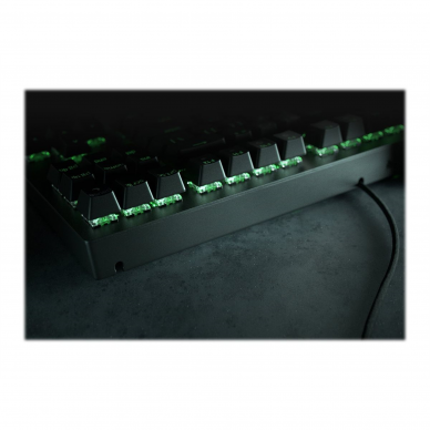 Razer | BlackWidow V3 | Black | Gaming keyboard | Wired | RGB LED light | US 9